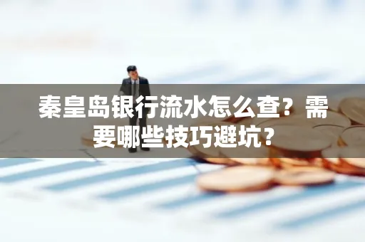 秦皇岛银行流水怎么查?需要哪些技巧避坑? 秦皇岛银行流水怎么查?需要哪些技巧避坑?