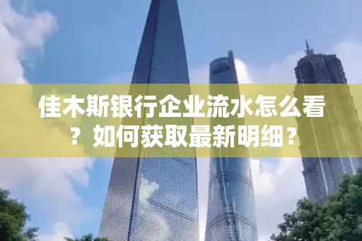 佳木斯银行企业流水怎么看？如何获取最新明细？