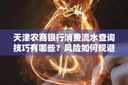 天津农商银行消费流水查询技巧有哪些?风险如何规避?