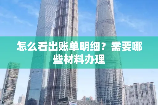 怎么看出账单明细?需要哪些材料办理