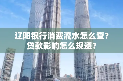 辽阳银行消费流水怎么查?贷款影响怎么规避?