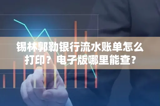 锡林郭勒银行流水账单怎么打印？电子版哪里能查？