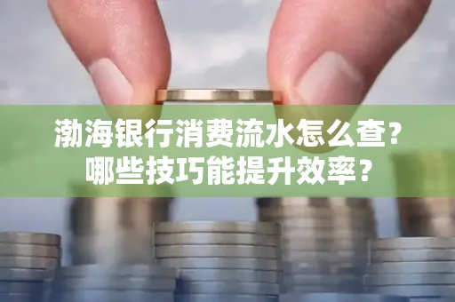 渤海银行消费流水怎么查?哪些技巧能提升效率?