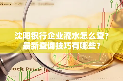沈阳银行企业流水怎么查？最新查询技巧有哪些？