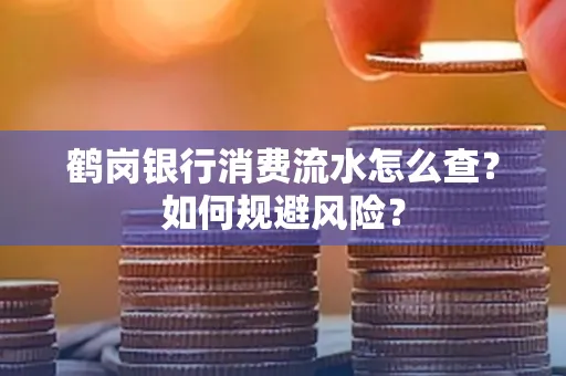 鹤岗银行消费流水怎么查？如何规避风险？