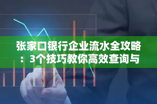 张家口银行企业流水全攻略：3个技巧教你高效查询与风险规避