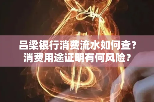 吕梁银行消费流水如何查？消费用途证明有何风险？