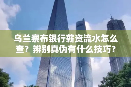 乌兰察布银行薪资流水怎么查？辨别真伪有什么技巧？