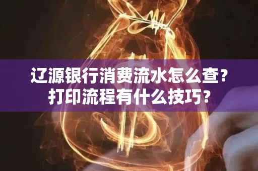 辽源银行消费流水怎么查?打印流程有什么技巧?
