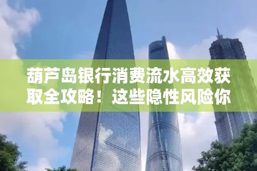 葫芦岛银行消费流水高效获取全攻略!这些隐性风险你必须知道
