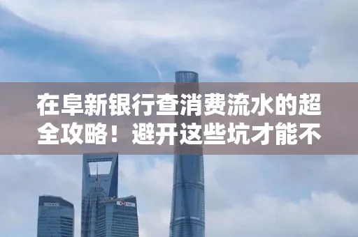 在阜新银行查消费流水的超全攻略!避开这些坑才能不踩雷
