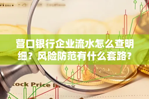 营口银行企业流水怎么查明细?风险防范有什么套路?