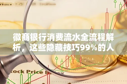 徽商银行消费流水全流程解析,这些隐藏技巧99%的人不知道