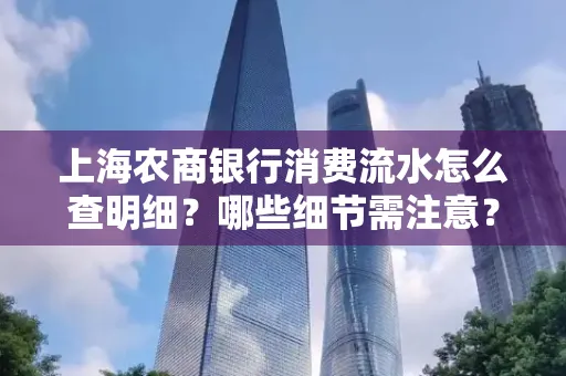 上海农商银行消费流水怎么查明细?哪些细节需注意?