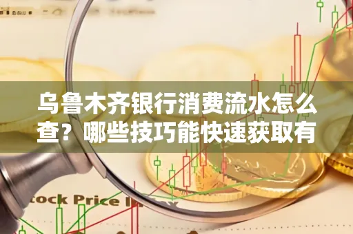 乌鲁木齐银行消费流水怎么查？哪些技巧能快速获取有效信息？