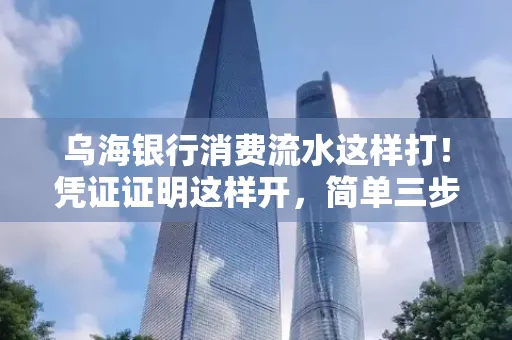 乌海银行消费流水这样打！凭证证明这样开，简单三步轻松搞定