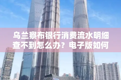 乌兰察布银行消费流水明细查不到怎么办？电子版如何获取攻克技巧？
