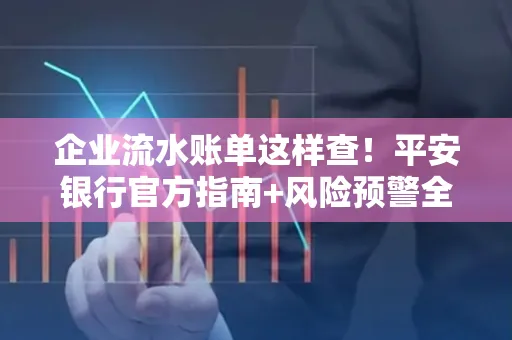 企业流水账单这样查!平安银行官方指南+风险预警全收录