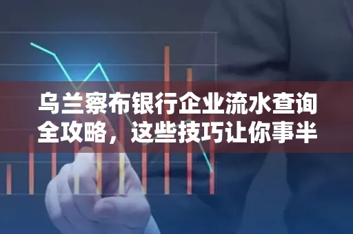 乌兰察布银行企业流水查询全攻略,这些技巧让你事半功倍