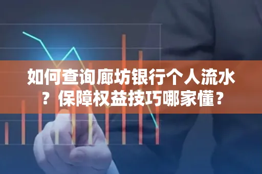 如何查询廊坊银行个人流水？保障权益技巧哪家懂？