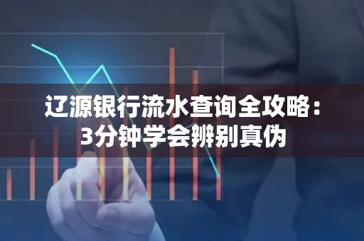 辽源银行流水查询全攻略:3分钟学会辨别真伪