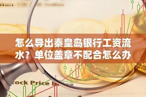 怎么导出秦皇岛银行工资流水?单位盖章不配合怎么办?