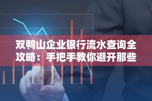 双鸭山企业银行流水查询全攻略:手把手教你避开那些坑