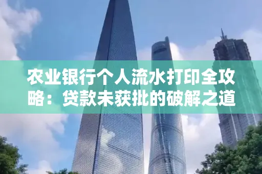 农业银行个人流水打印全攻略：贷款未获批的破解之道