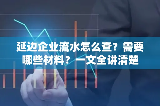 延边企业流水怎么查?需要哪些材料?一文全讲清楚