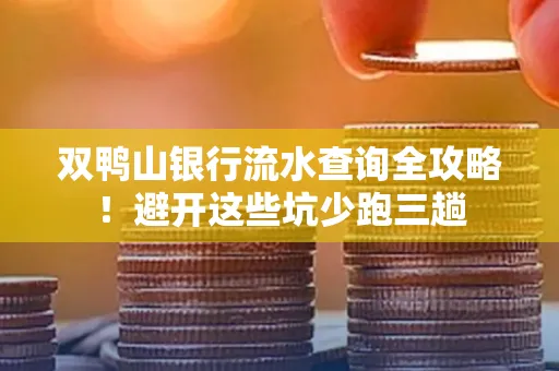 双鸭山银行流水查询全攻略!避开这些坑少跑三趟
