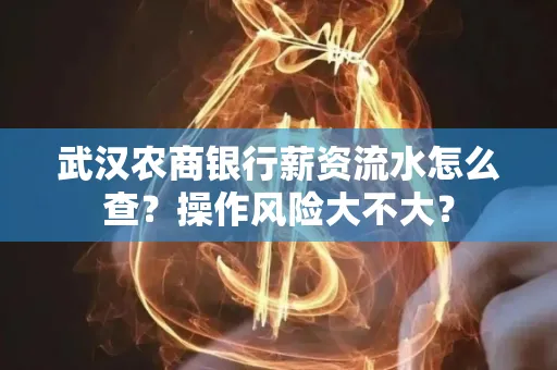 武汉农商银行薪资流水怎么查?操作风险大不大?
