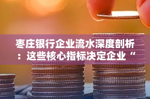 枣庄银行企业流水深度剖析：这些核心指标决定企业“钱袋子”健康度