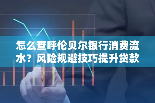 怎么查呼伦贝尔银行消费流水？风险规避技巧提升贷款率？