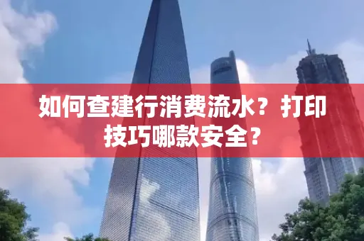 如何查建行消费流水？打印技巧哪款安全？